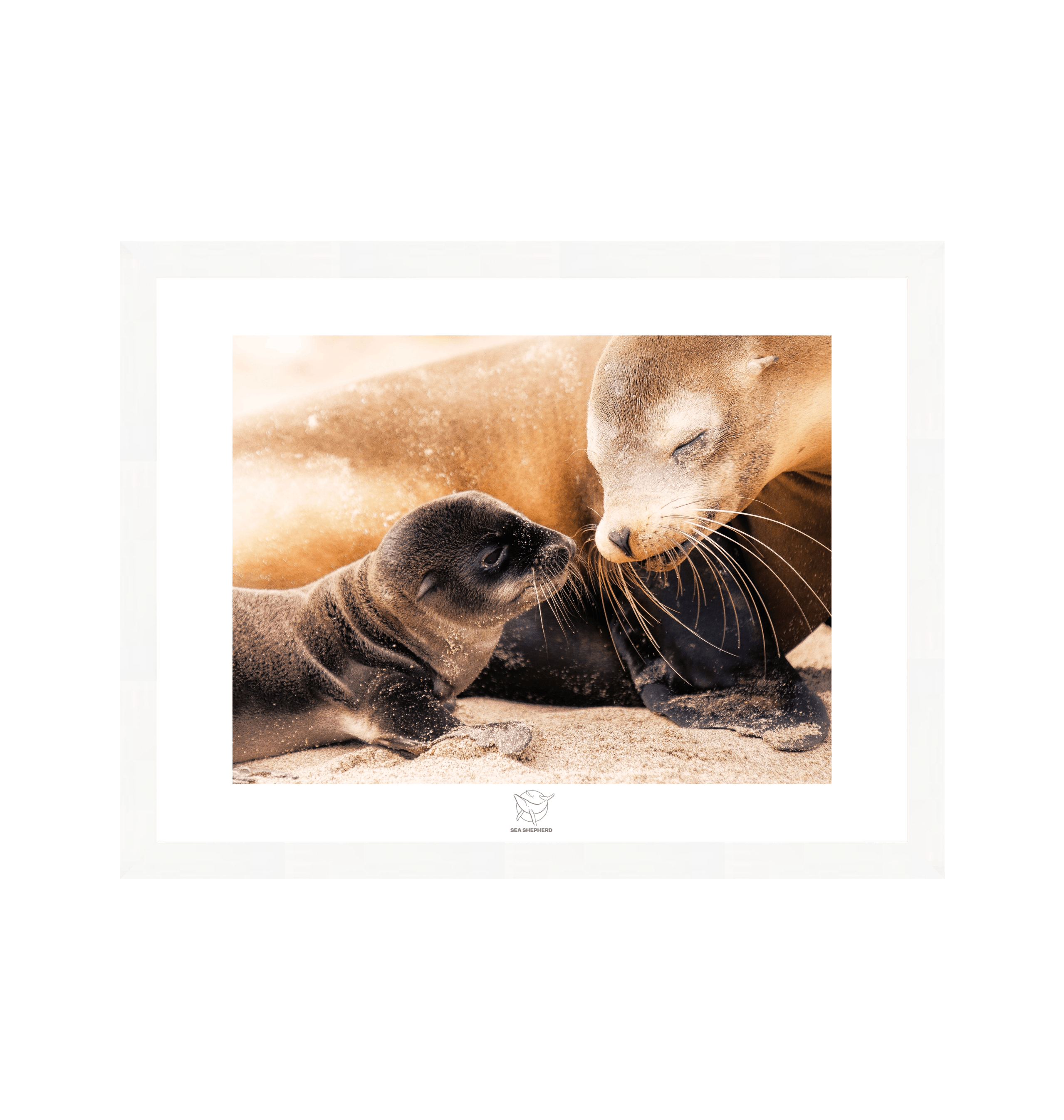 White Frame Fine art print Front